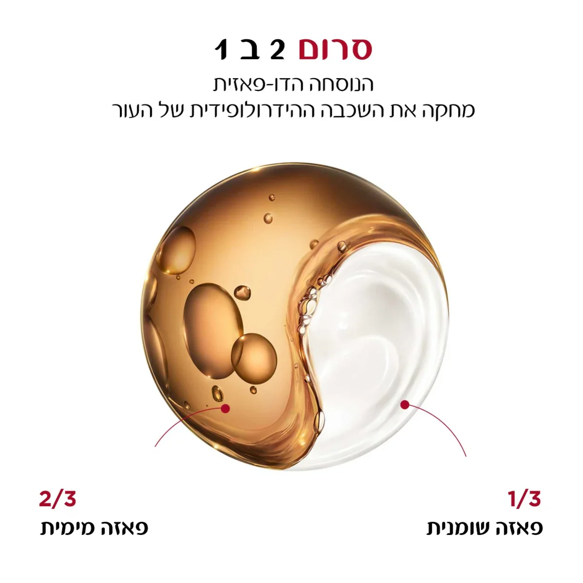 תמונה ממוזערת 2