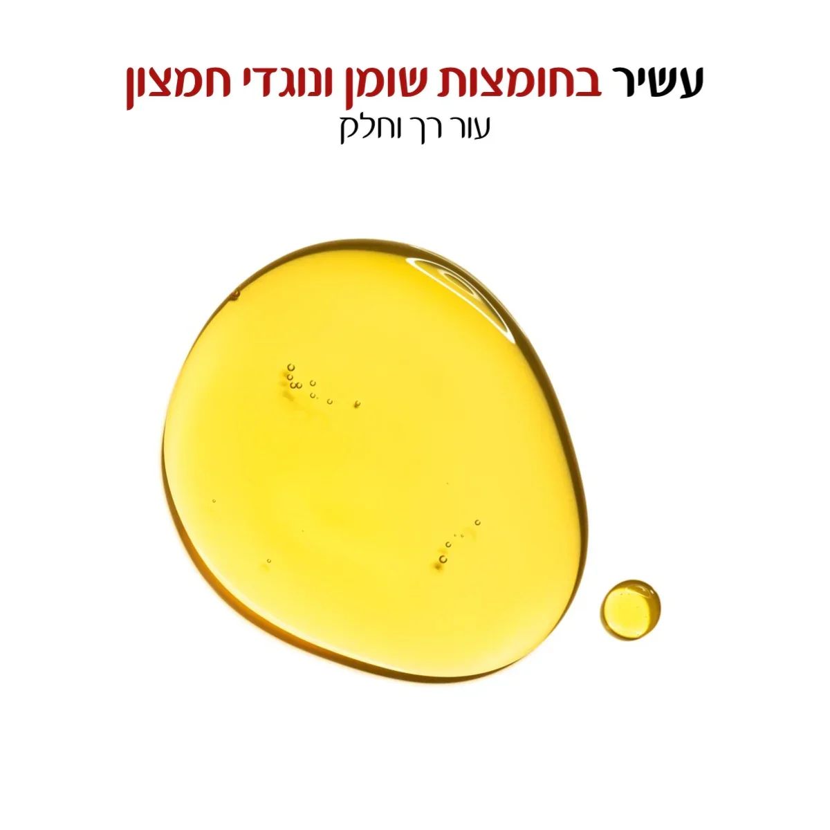 תמונה ממוזערת 2